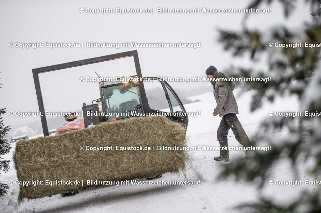 20210210_Hoflader_0005 | equistock