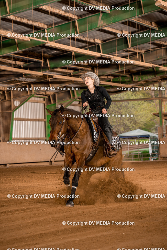 BA301253 | dv-media-shop - Realisiert mit Pictrs.com