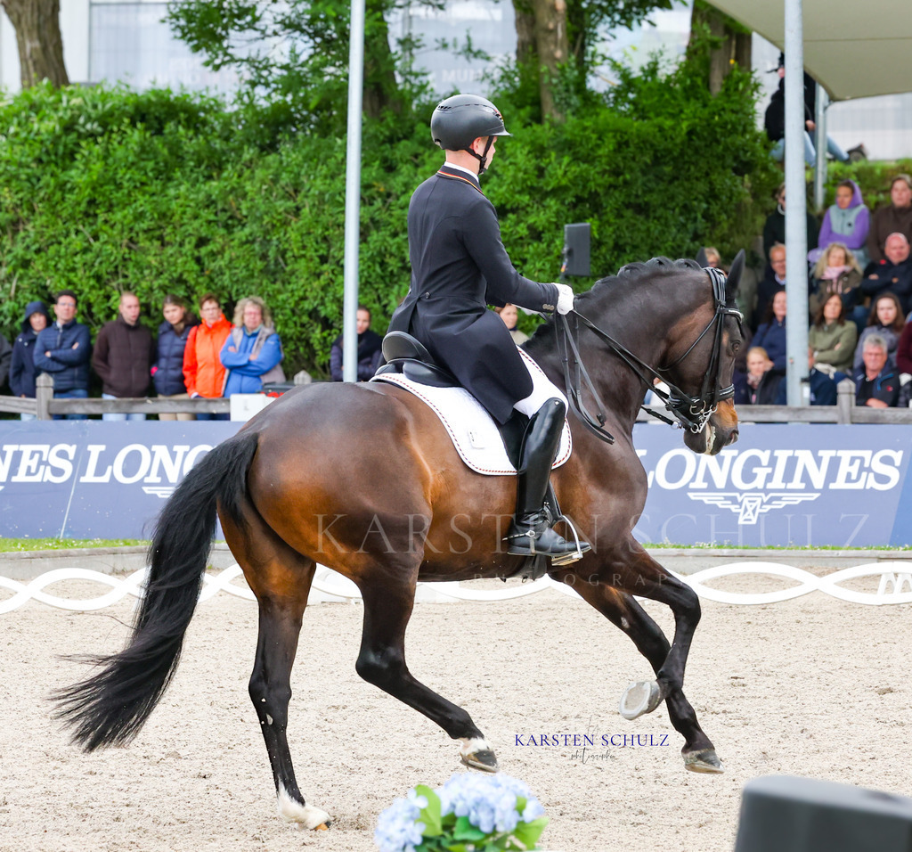 1B3A8225 | Reitsport Reiten