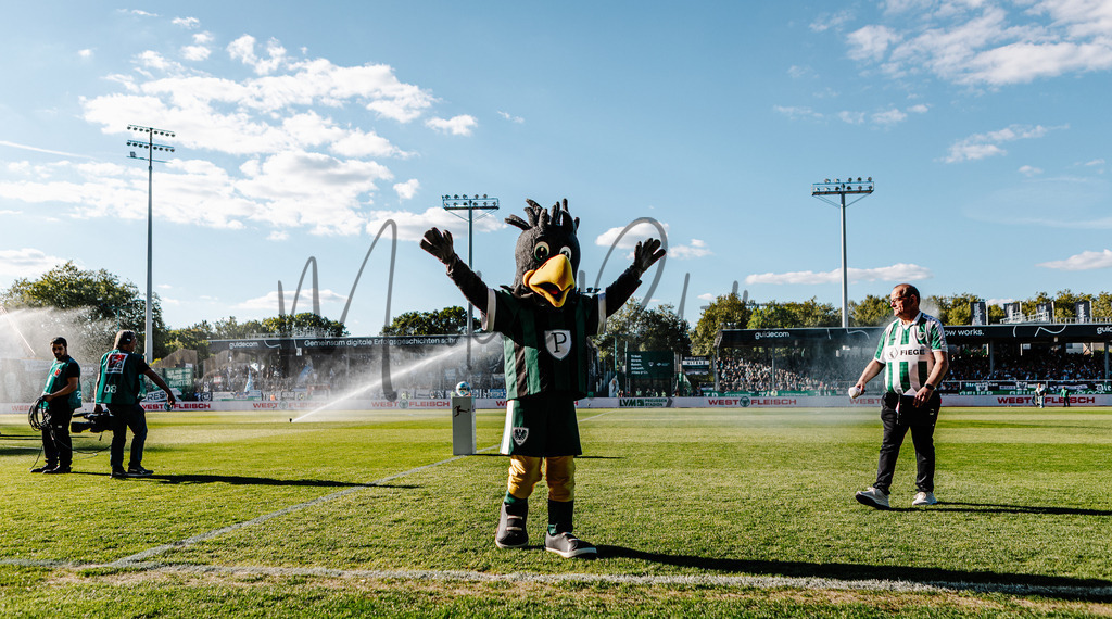 20250509-scp-bsc-0034 | Das ist die Fotodatenbank für authentische Sportfotografie aus Münster: Markus Paletta fotografiert Teams, Sportler:innen, Kinder, Events & Unternehmen. - Realisiert mit Pictrs.com