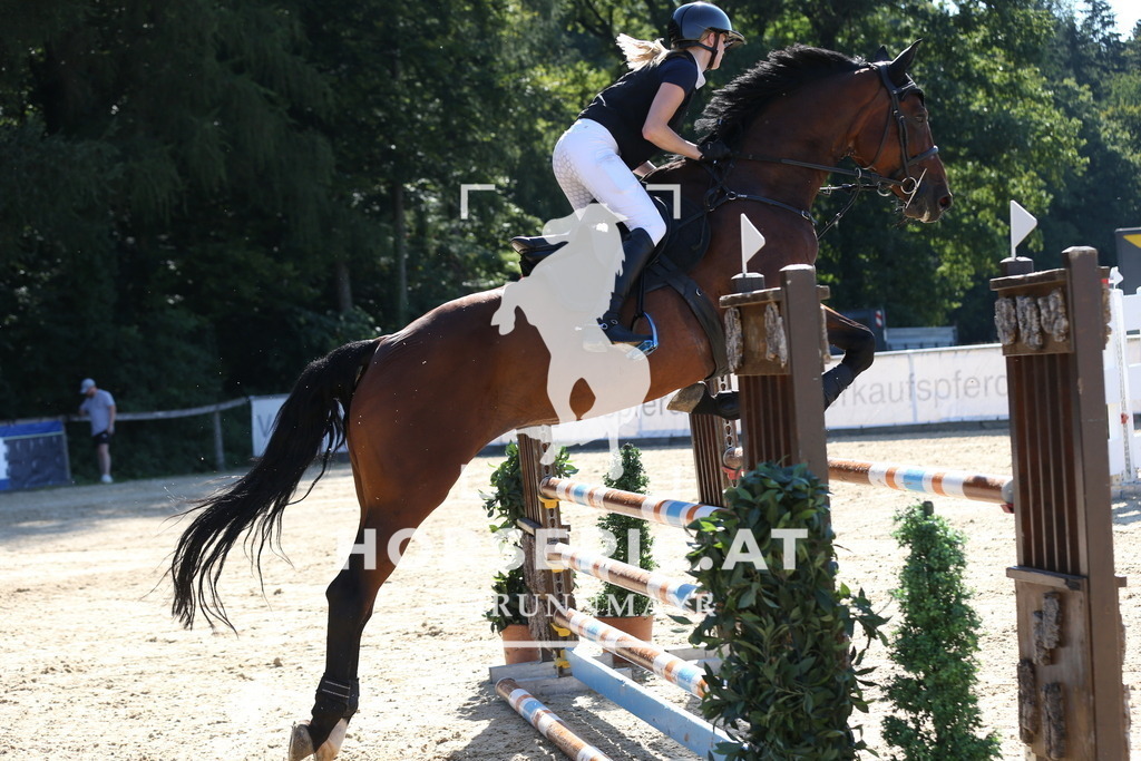 DL2Q0438 | Willkommen bei Brunnmayr - Design & Fotografie – Ihrem Spezialisten für Reitturniere und Pferdeveranstaltungen in Oberösterreich, Salzburg und Bayern! Seit über 17 Jahren sind wir leidenschaftlich dabei.