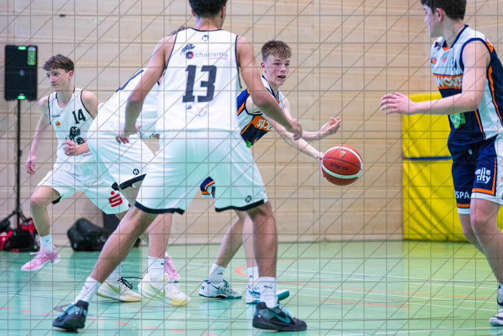 JBBL 24/25 | 19.01.2025 | Charisma Young Bulls vs. Rostock Seawolves | JBBL 24/25 | 19.01.2025 | Charisma Young Bulls vs. Rostock Seawolves - - - - - CREDIT, www.bullenfotos.de, Martin König, Hörner Weg 40, D-49078 Osnabrück, +4917663732967, Nutzung und Weitergabe nur zu den vereinbarten Zwecken. Presseanfragen an Urheber. Alle Rechte beim Urheber. - - - - - - Realisiert mit Pictrs.com