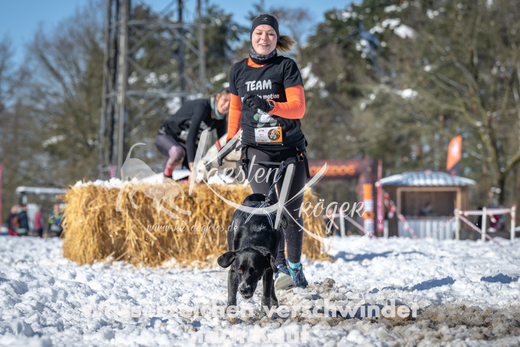 1114_ZZ90739-3 | kk-dogfotos