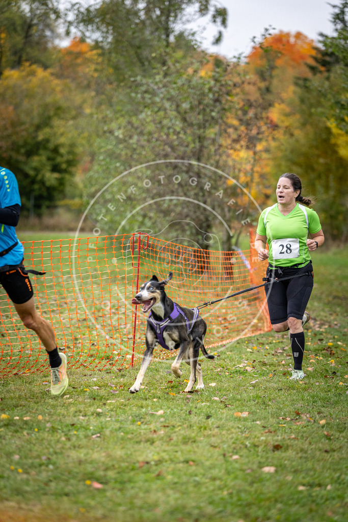 Pfotenfotografie_DV3A2066 | Hundefotografie, Tierfotograf, Pfotenfotografie, Fotoshooting Hund, Hunde Portrait, Hundesport, Hundeportraits, Heideshooting, Hunde, Sportfotograf, Hundefotograf, Turnierhundsport, THS,  - Realisiert mit Pictrs.com