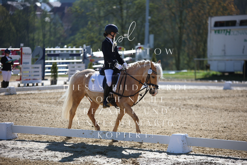 IMGT9630 | pl-fotografie