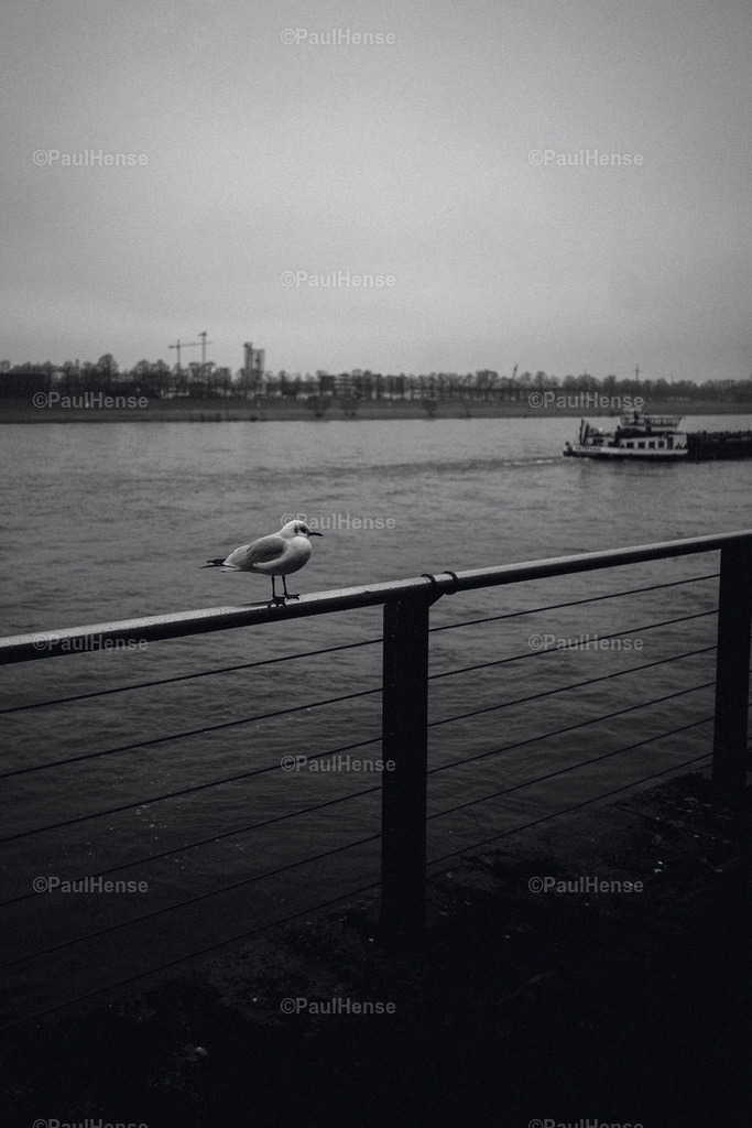 20230126_PaulHense_S0005_DSC03595 | paulhense - Realisiert mit Pictrs.com