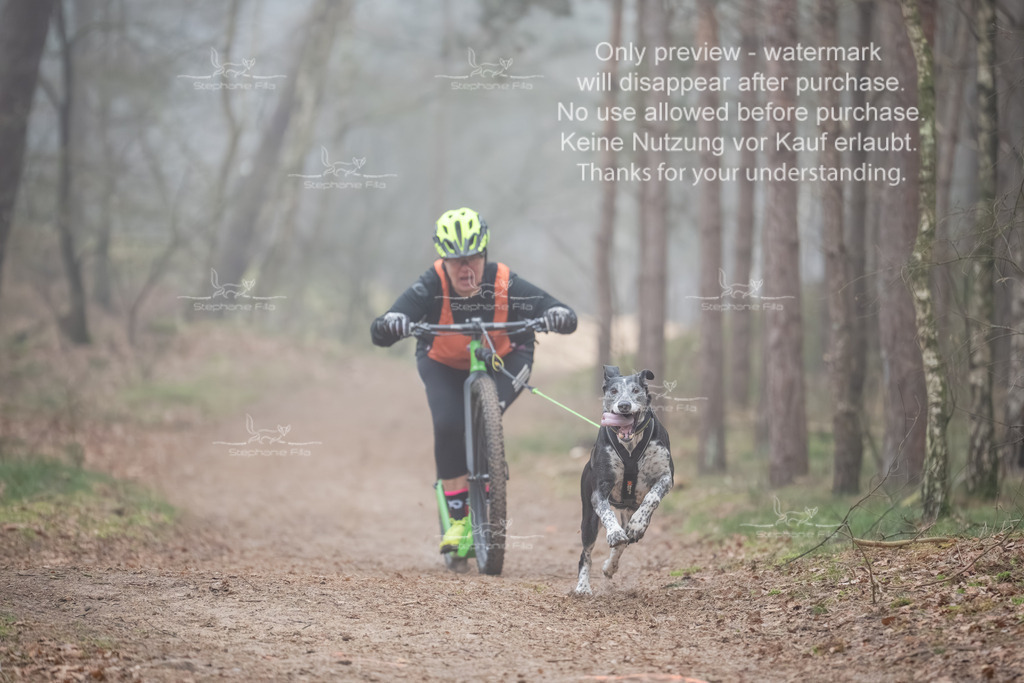 Scooter1-144 | stephaniefillaphotographie - Realisiert mit Pictrs.com