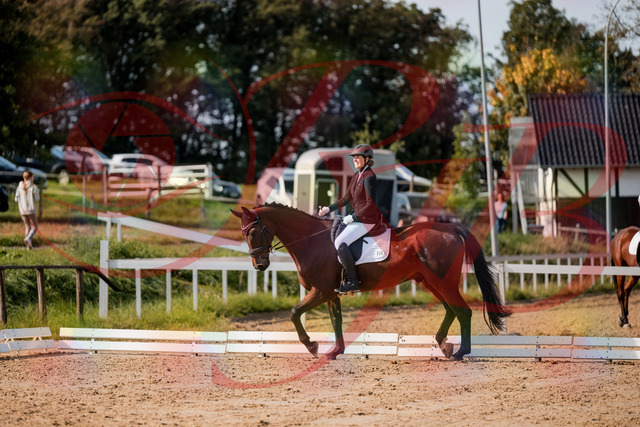 2026_10_03_Siefer-Hof_122705_Z63_47987054 | Professionelle Reitsport-, Turnier- und Eventfotografie von Robert Broda. Galerien mit ausgewählten und bearbeiteten Bildern direkt online ansehen und bestellen.