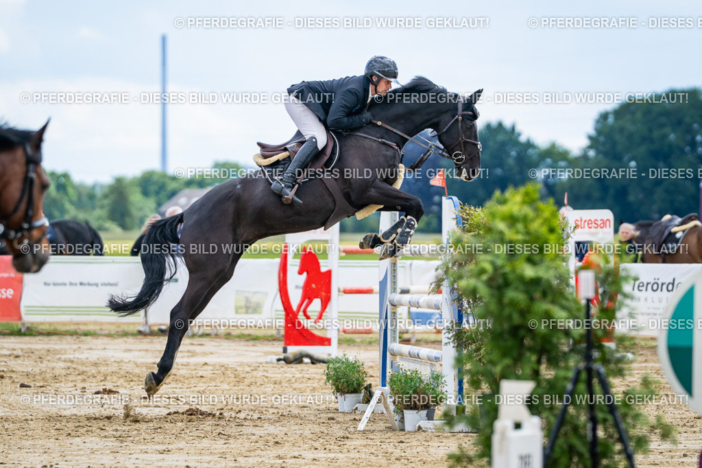 DSC05771 | Pferdegrafie