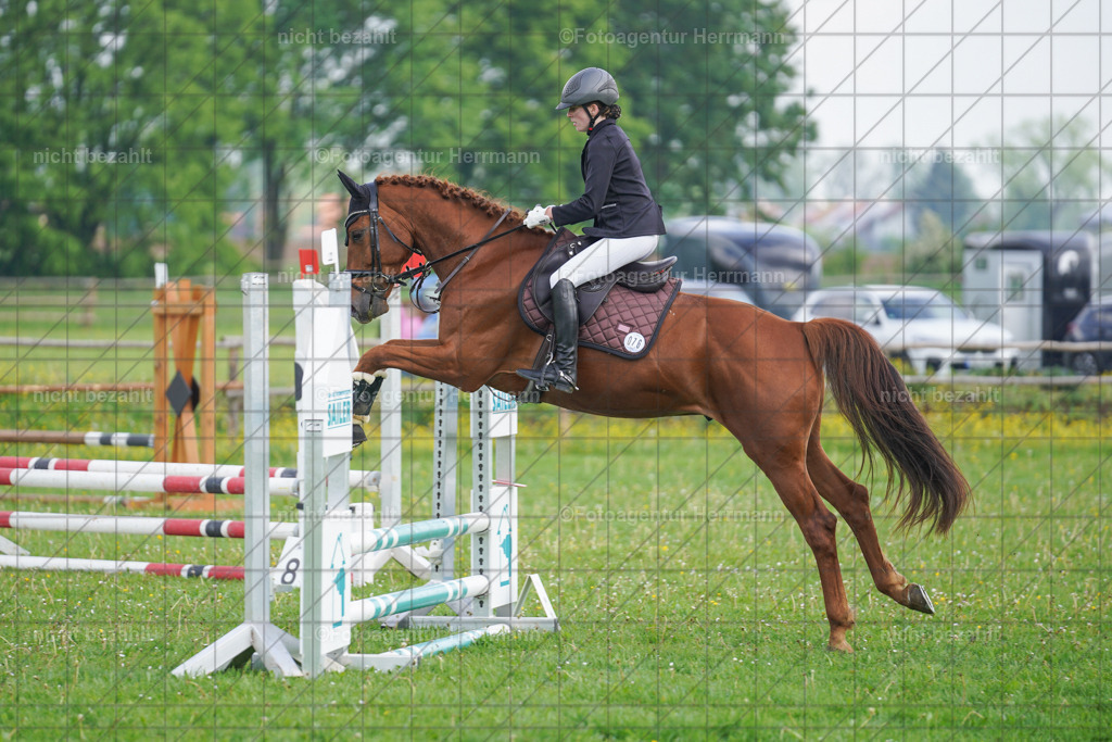 20240509-FAH02191 | Turnierbilder der Turnierfotografen Bayern, Pferdesport Fotografie, Reitsportbilder, Turnier Landberg am Lech, Turnierbilder bayern, Fotoagentur Herrmann