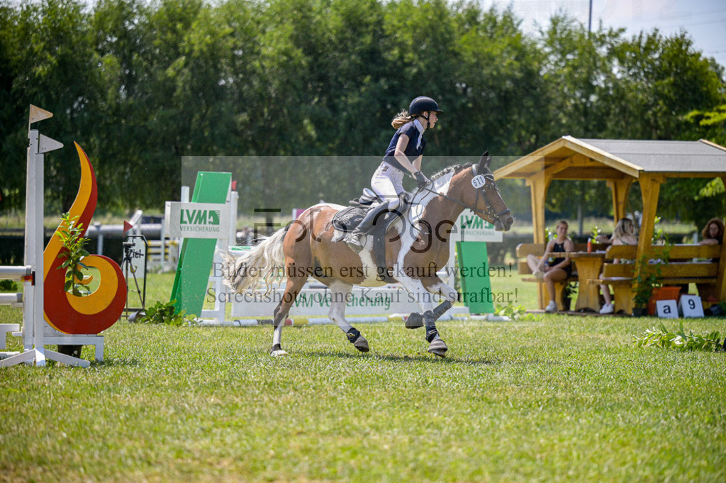 Reitturnier Voxtrup | Entdecke hochwertige Reitturnierfotos von Foto Oger. Professionell, emotional und authentisch – jetzt Lieblingsmomente im Shop bestellen.Deutschlandweite Turnierfotografie. - Realized with Pictrs.com