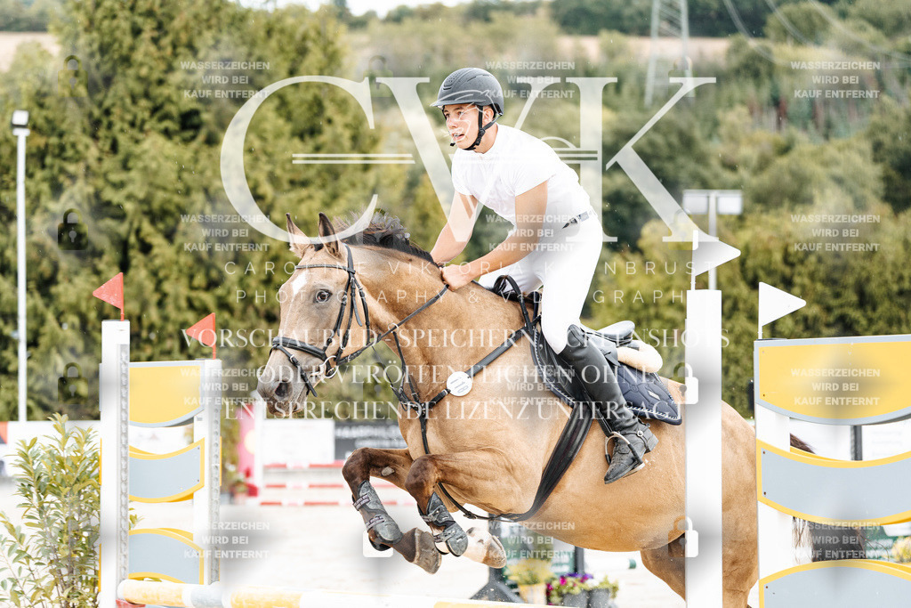 CK908728 | Turnierfotografie Pferdefotografie Trier Rheinland-Pfalz Pferdesport Reitsport Tierfotografie Sportfotografie Pferdevideo Pferdevideografie Equestrianvideography equestrianphotography  - Realisiert mit Pictrs.com