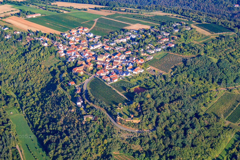Luftbild: Winzerdorf auf der Höhe des Haardtrand des Pfälzerwalds im Morgenlicht in Battenberg im Bundesland Rheinland-Pfalz in Deutschland. Foto: IMG_44440.jpg vom 20.08.2011 durch Werner Riehm/FLY-FOTO.de