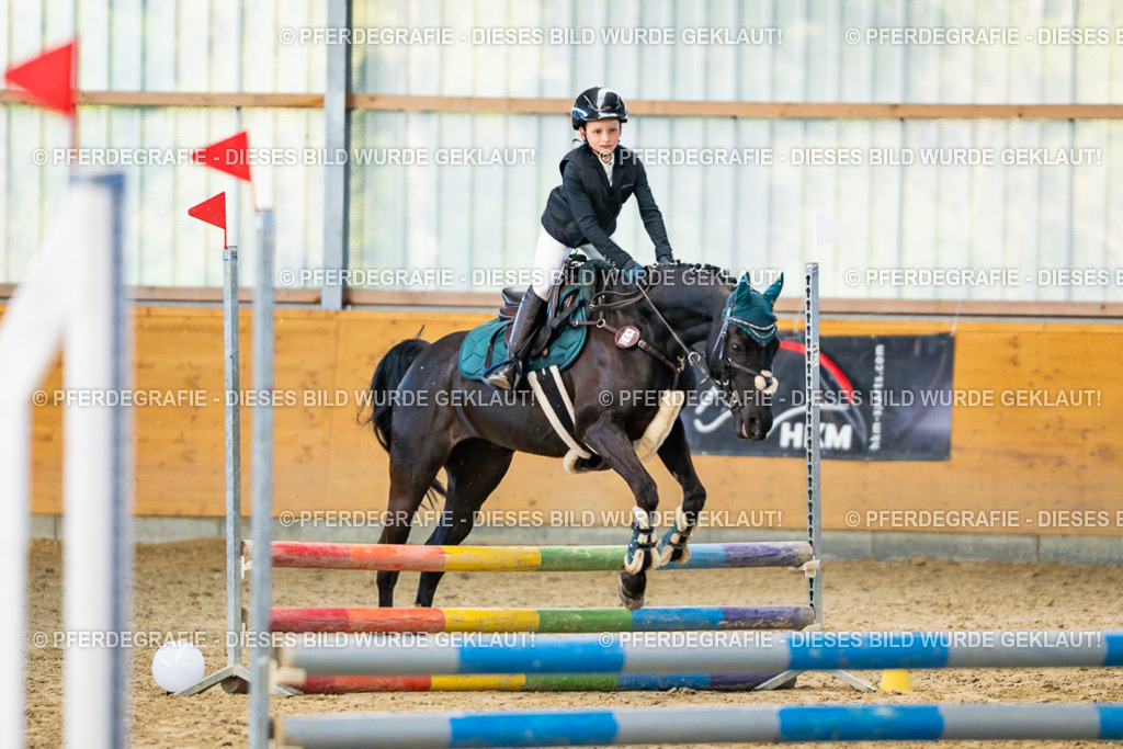 DSC00979 | Pferdegrafie