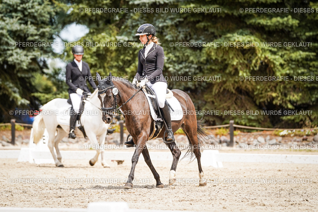 DSC03787 | Pferdegrafie