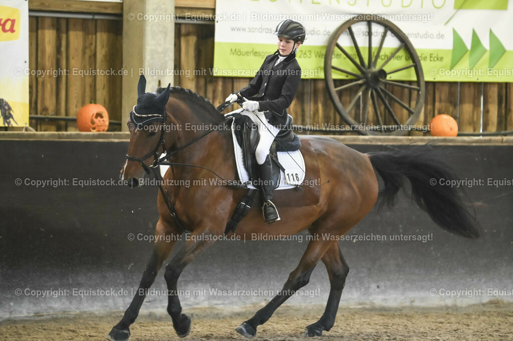 03_Reiter-WB_0290 | Foto: Thomas Hartig