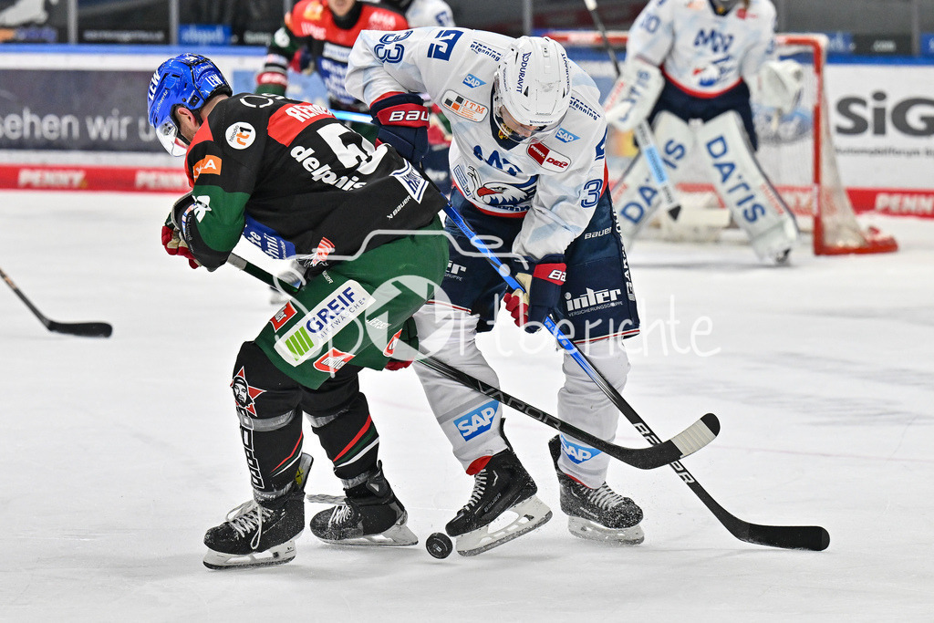 Augsburger Panther - Adler Mannheim | im Duell Maximilian RENNER (Augsburger Panther #58) und Markus HAENNIKAEINEN (Adler Mannheim 33) / ZWeikampf / DEL: Augsburger Panther - Adler Mannheim, Curt Frenzel Stadion am 16.02.2025