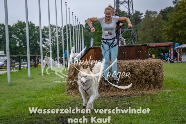 1212--8 | kk-dogfotos