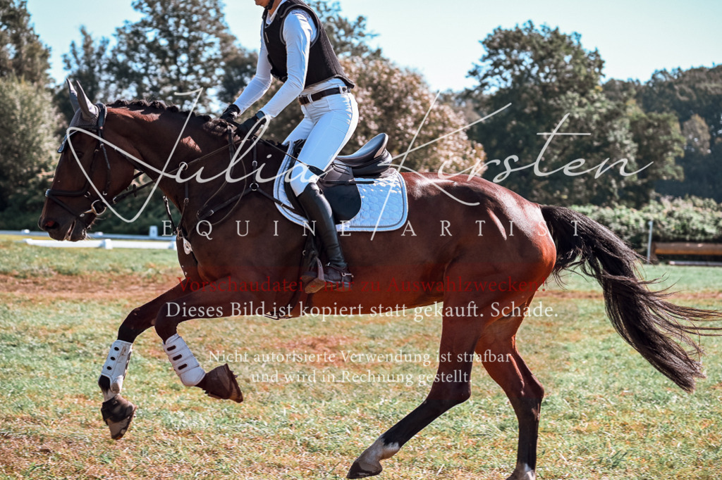 DSC_1083 | Pferde- und Turnierfotografie in Westsachsen. Pferdeportraits, Auftragszeichnungen und intuitive Kunst.