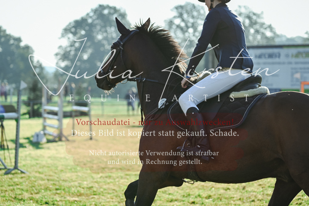 DSC_3955 | Pferde- und Turnierfotografie in Westsachsen. Pferdeportraits, Auftragszeichnungen und intuitive Kunst.