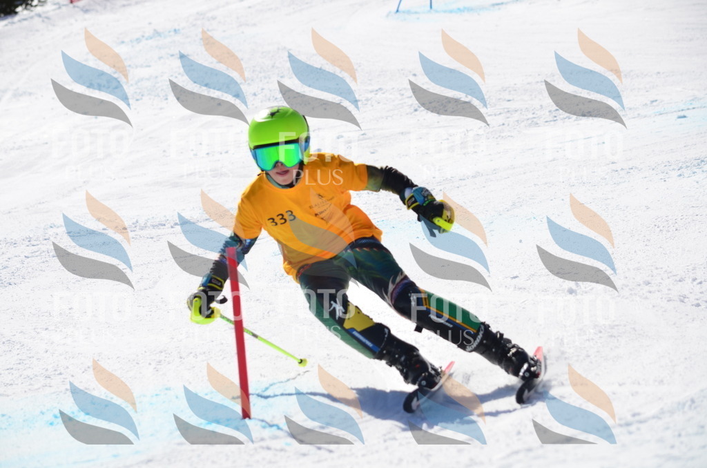 C9680 | holidayphoto