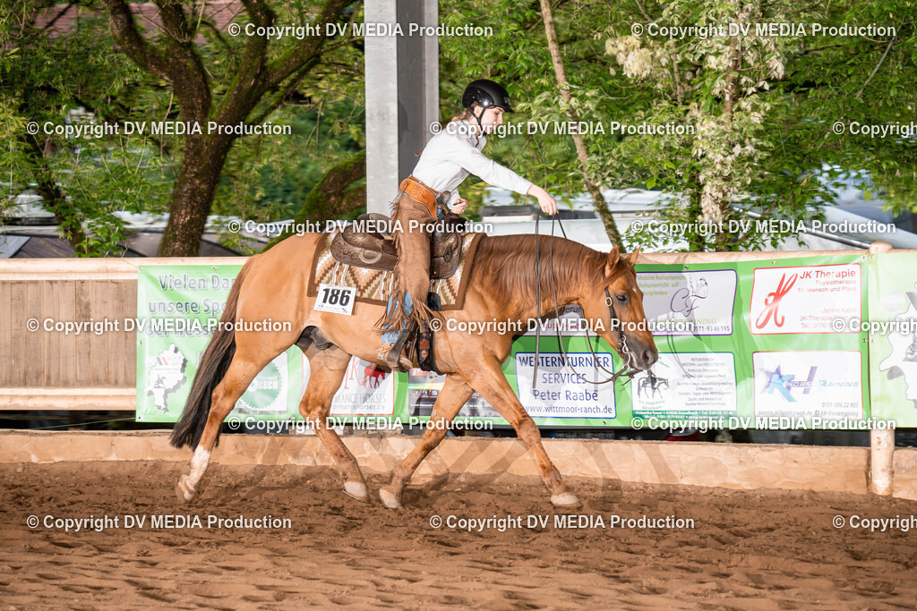 Erbach Tag 1-1099 | dv-media-shop - Realisiert mit Pictrs.com