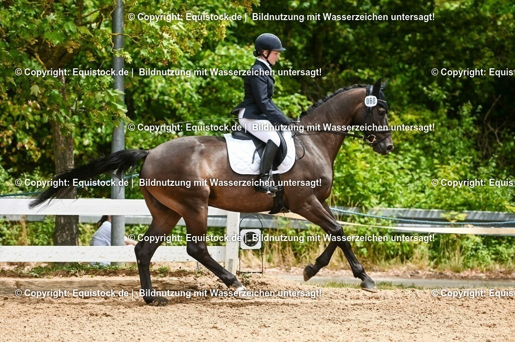 20230716_03_Dressurprfg. Kl.L - Tr._0363 | equistock