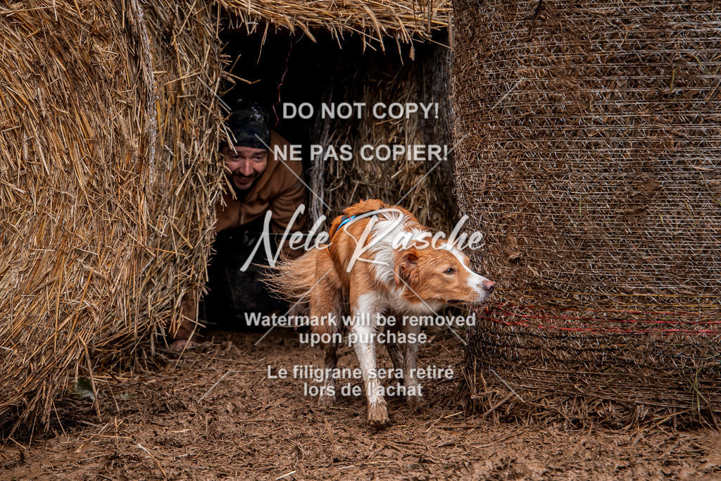 nelerasche_Hunsrück_So09-11_179 | nelerasche