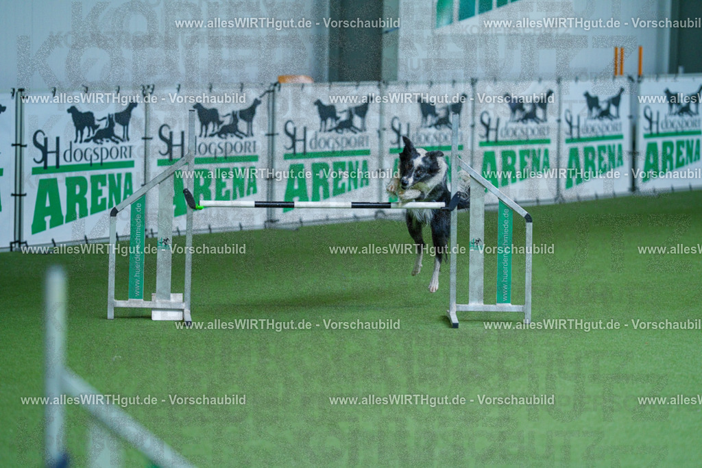 @allesWIRTHgut_Tierfotografie - www.allesWIRTHgut.de - 2604261400-7R503178 | Professionelle Tierfotografie in Mönchengladbach von Daniel Wirth (allesWIRTHgut). Liebevolle & natürliche Bilder von Hunden & Katzen für unvergessliche Erinnerungen.