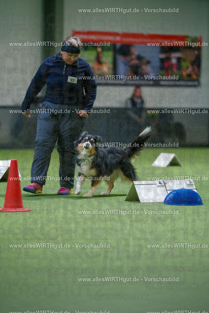 7R504295 | Professionelle Tierfotografie in Mönchengladbach von Daniel Wirth (allesWIRTHgut). Liebevolle & natürliche Bilder von Hunden & Katzen für unvergessliche Erinnerungen.