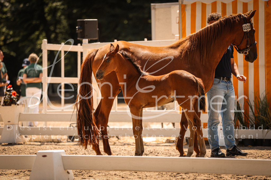 03.DoAB00053 | Leoni Ertmer Photography - Realisiert mit Pictrs.com