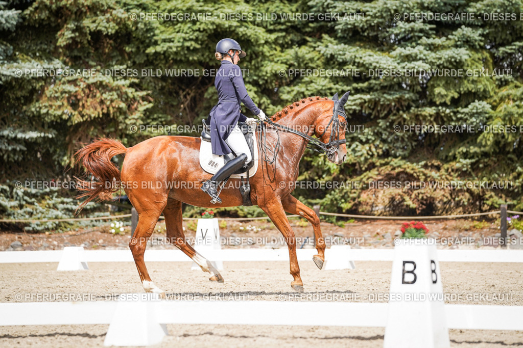 DSC06369 | Pferdegrafie