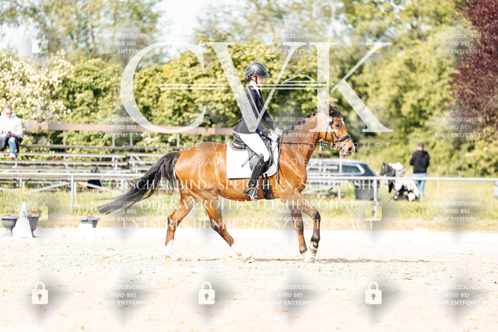 CK900532 | Turnierfotografie Pferdefotografie Trier Rheinland-Pfalz Pferdesport Reitsport Tierfotografie Sportfotografie Pferdevideo Pferdevideografie Equestrianvideography equestrianphotography  - Realisiert mit Pictrs.com