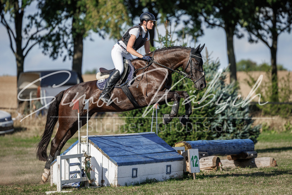 20260905-_3LI0558 | Tierfotografie Pferde, Hunde, Katzen, Haustiere.
Turnierfotografie Reitturniere, Reiten, Springreiten, Dressur in Hanau, dem Main-Kinzig-Kreis und dem Rhein-Main- Gebiet um Frankfurt
