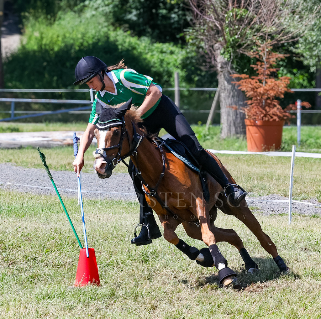 IMG_1623 | Reitsport Reiten
