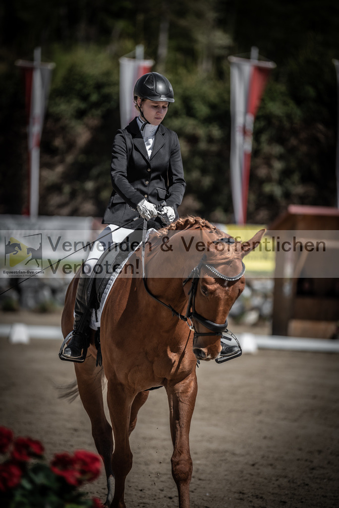 DSC_0003 | equestrian-live-com