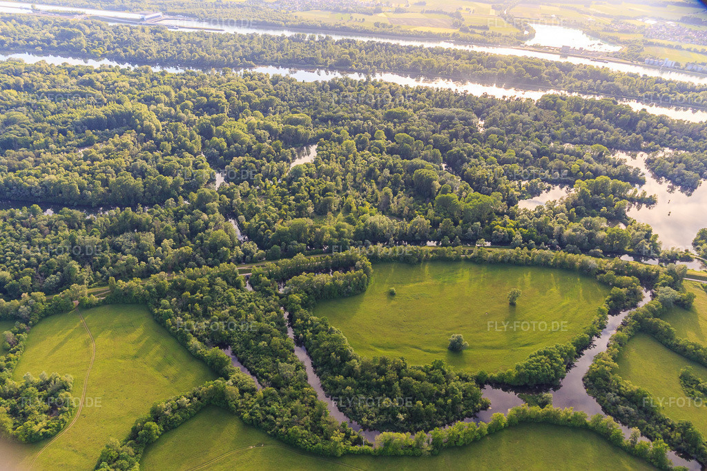 Luftbild: Naturschutzgebiet Taubergiessen zwischen Rheinauen und Rhein im Ortsteil Rheinau in Ortenaukreis im Bundesland Baden-Württemberg in Deutschland. Foto: IMG_147326.jpg vom 29.05.2025 durch Werner Riehm/FLY-FOTO.de