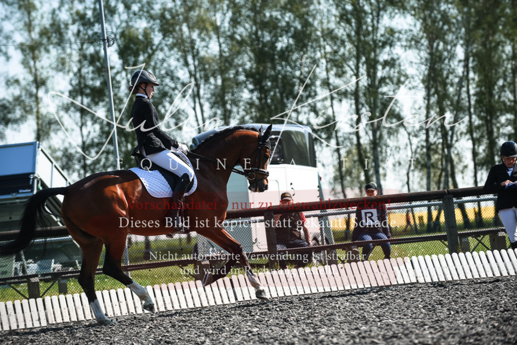 DSC_8682 | Pferde- und Turnierfotografie in Westsachsen. Pferdeportraits, Auftragszeichnungen und intuitive Kunst.
