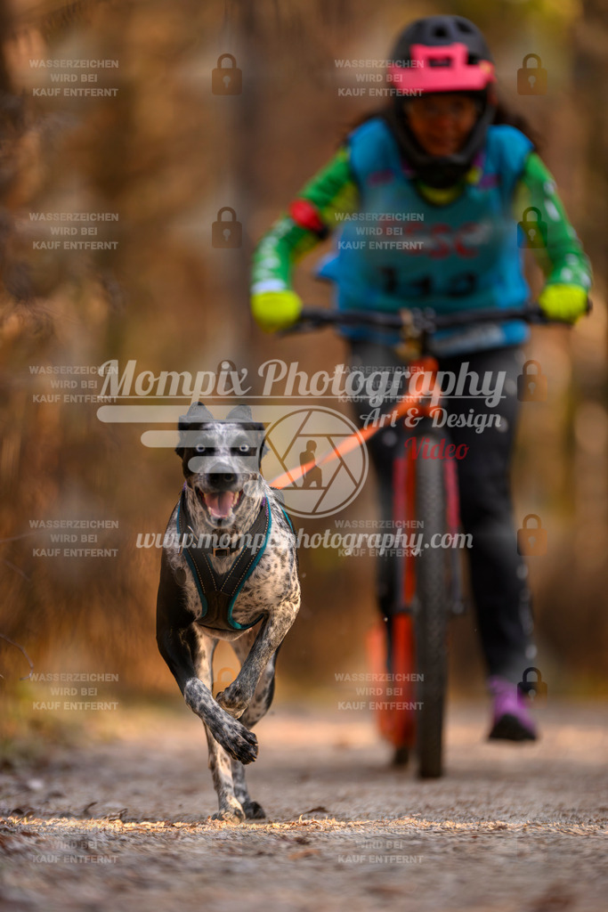 MompixPhotography_DM_AKDM_SO_2025_Scooter-211 | PayLife