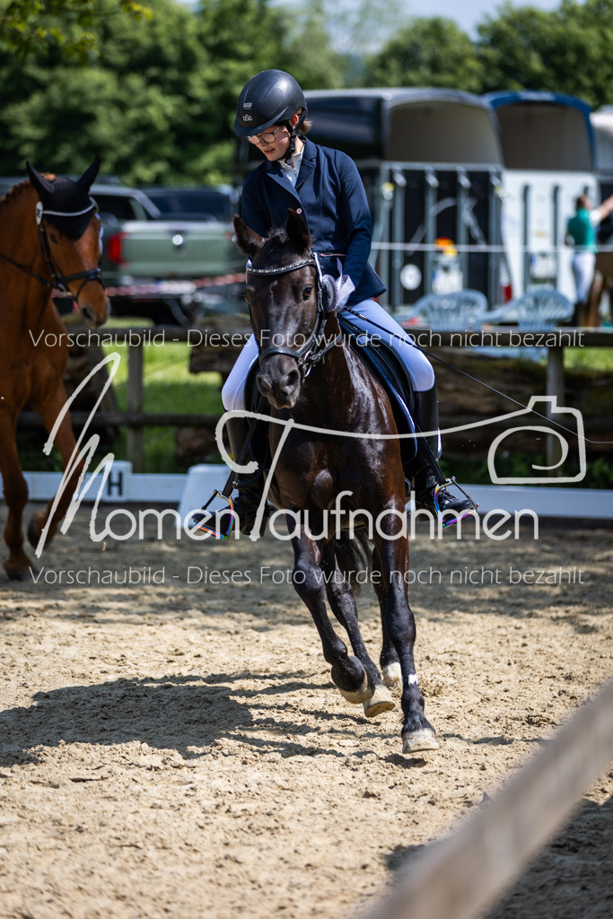 Donop24-EDre-068 | MomenTaufnahmen Pferdesportfotos