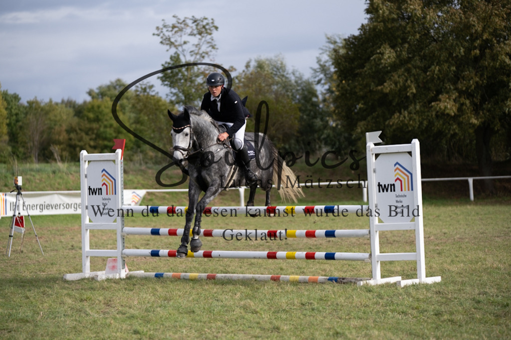 A7V07371 | Pferdefotograf