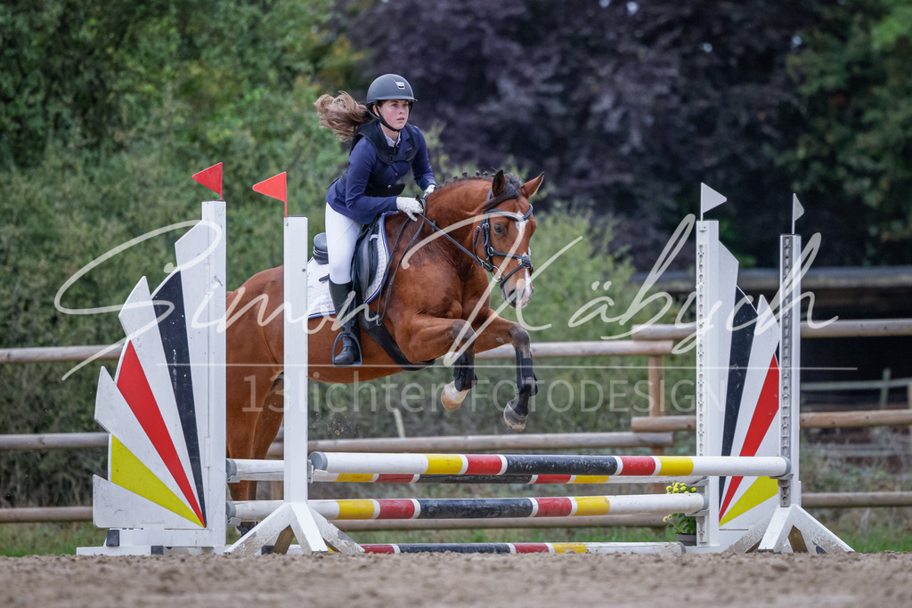 20251012-_3LI2821 | Tierfotografie Pferde, Hunde, Katzen, Haustiere.
Turnierfotografie Reitturniere, Reiten, Springreiten, Dressur in Hanau, dem Main-Kinzig-Kreis und dem Rhein-Main- Gebiet um Frankfurt