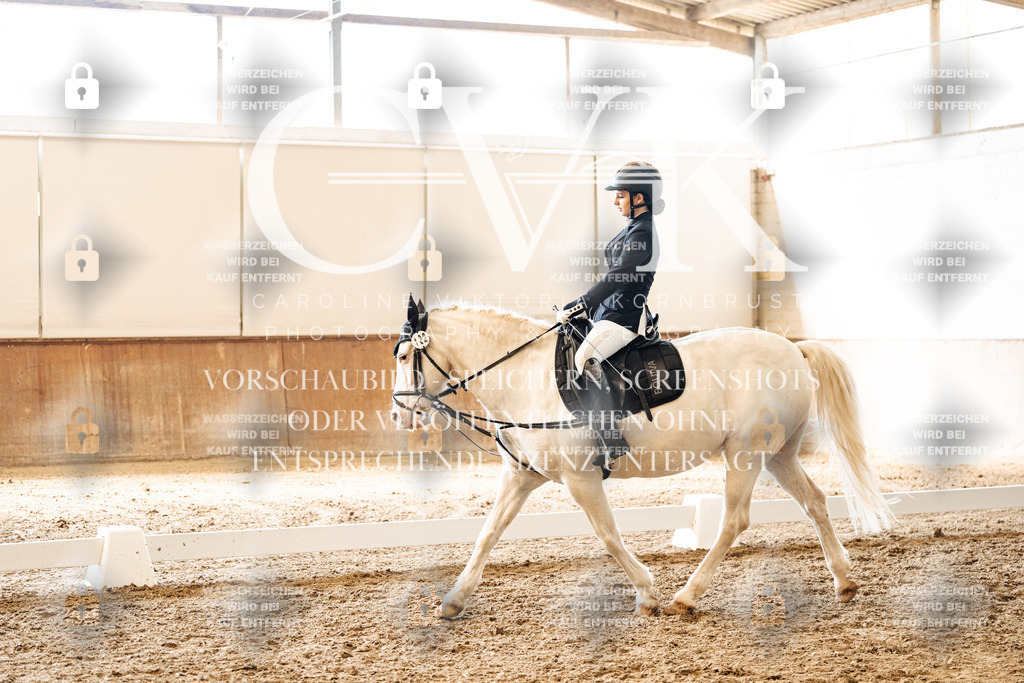 CK900130 | Turnierfotografie Pferdefotografie Trier Rheinland-Pfalz Pferdesport Reitsport Tierfotografie Sportfotografie Pferdevideo Pferdevideografie Equestrianvideography equestrianphotography  - Realized with Pictrs.com