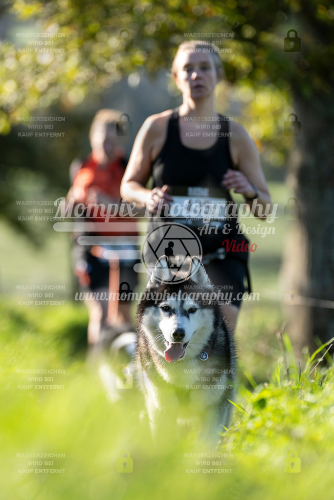 MompixPhotography_20TSB_E3_Run-133 | PayLife