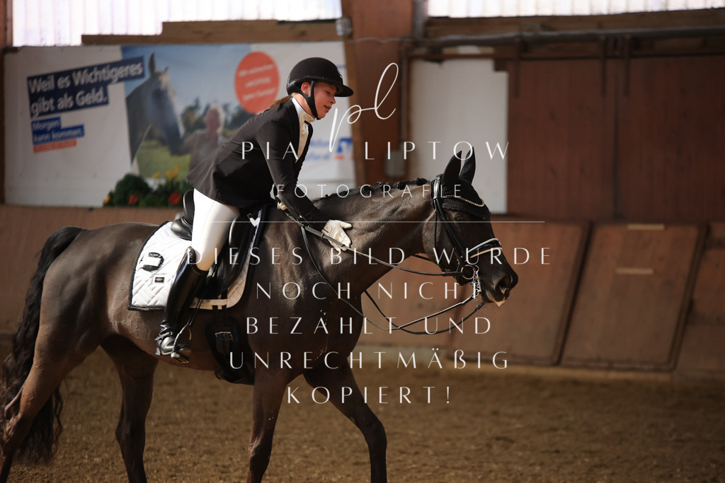 IMGT2805 | pl-fotografie