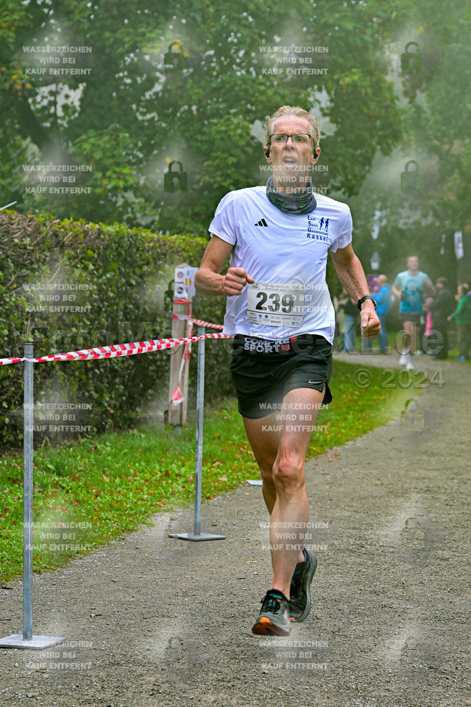 Z8N_1496 | la-psv - Realisiert mit Pictrs.com