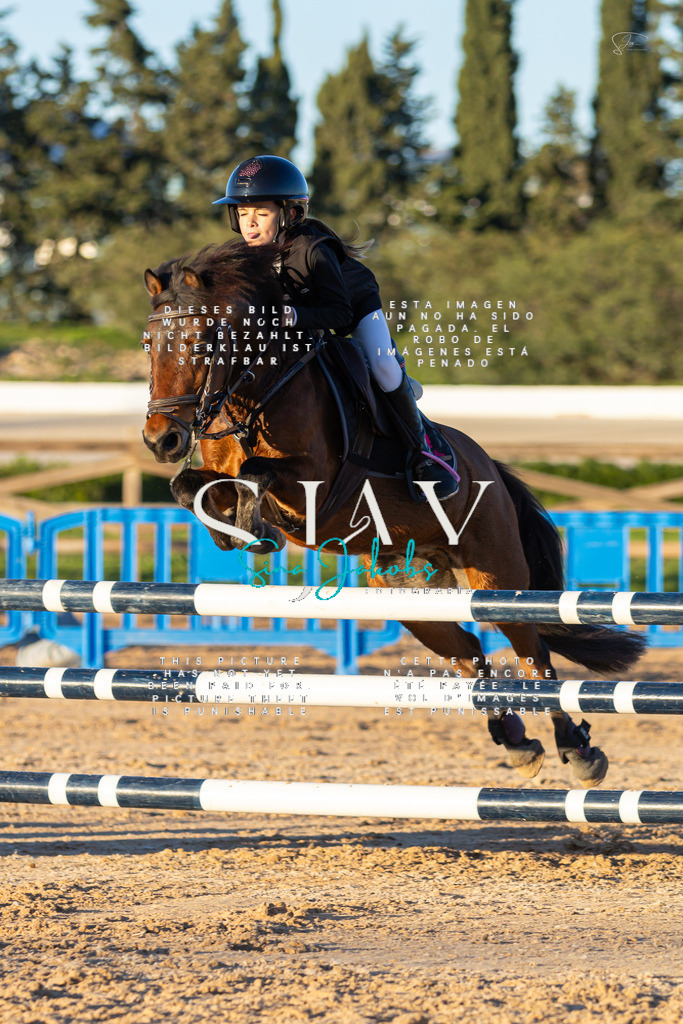 IMG_6016 | s-jay-photography - Realisiert mit Pictrs.com