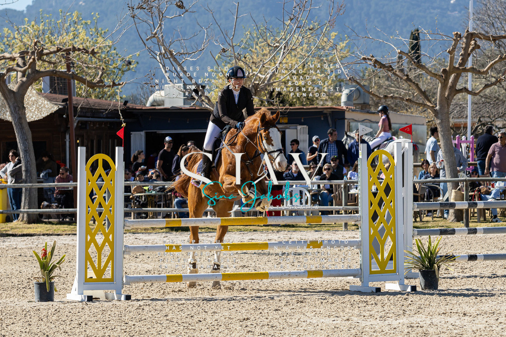 IMG_0764 | s-jay-photography - Realisiert mit Pictrs.com