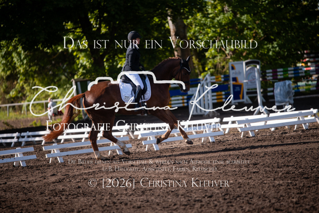 DSC_6519 | Christina-Kleuver