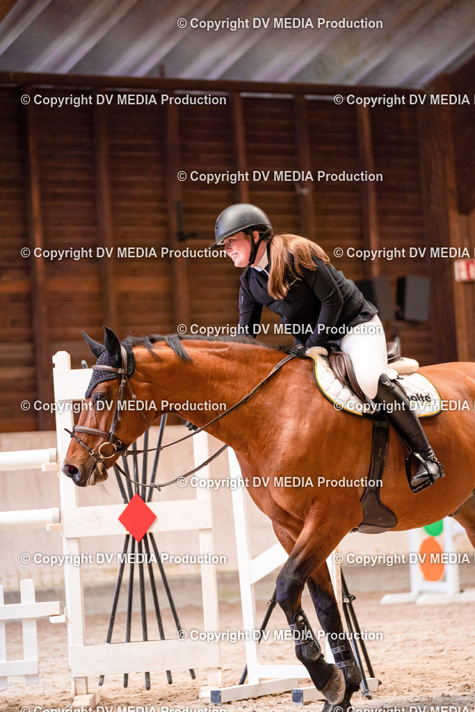 Springen Tag 3-044 | dv-media-shop - Realisiert mit Pictrs.com